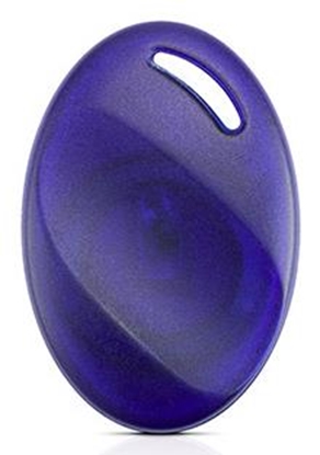 Picture of PROXIMITY TAG /INTEGRA/ACCO/BR-STD-1 SATEL