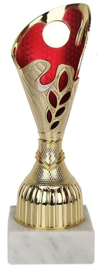 Изображение Puchar Tryumf 9317
