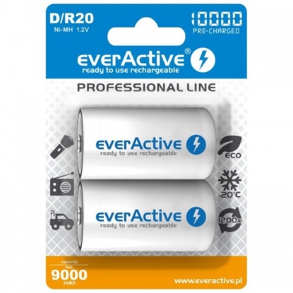 Attēls no R20/D akumulatori 1.2V everActive Professional line Ni-MH 10000 mAh iepakojumā 2 gb.