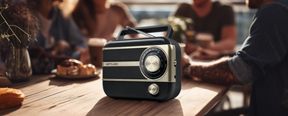 Изображение Radio Muse M-056