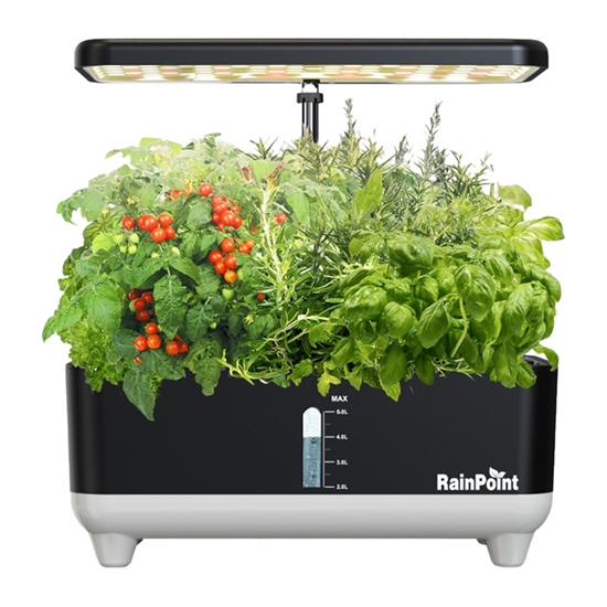 Picture of RainPoint Hydroponic Growing Kit