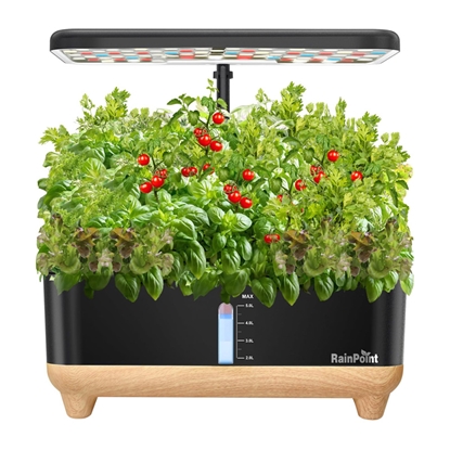 Picture of RainPoint Hydroponic Growing Kit