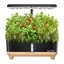 Picture of RainPoint Hydroponic Growing Kit