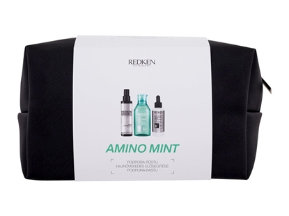 Изображение Redken Amino-Mint Shampoo 300ml