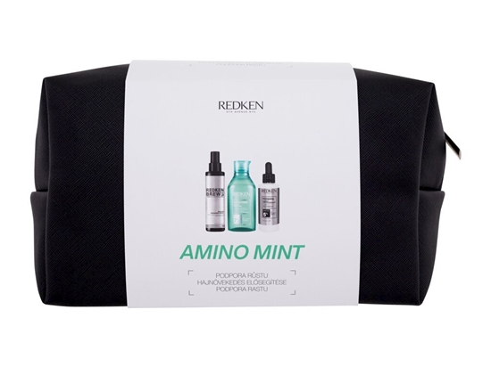 Изображение Redken Amino-Mint Shampoo 300ml