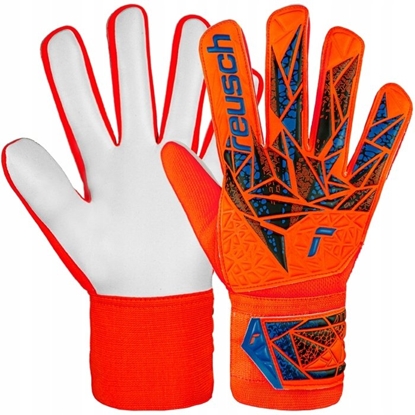 Attēls no Reusch Attrakt Starter Solid World Cup Junior 56 72 513 2290