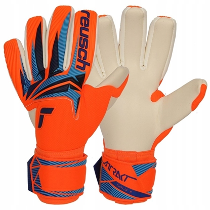 Picture of Reusch Rkawice Reusch Attrakt Gold X NC World Cup 56 70 056 2290