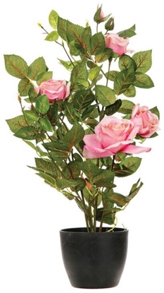 Picture of kwiatydonice ROSE ARTIFICIAL IN A POT H50CM