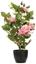 Picture of kwiatydonice ROSE ARTIFICIAL IN A POT H50CM