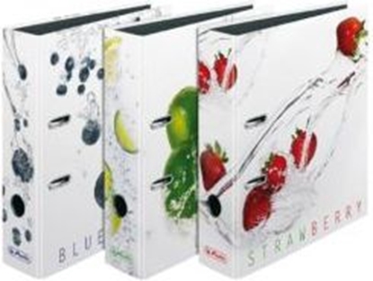 Изображение Segregator Herlitz Fresh dwigniowy A4 80mm  (WIKR-933121)
