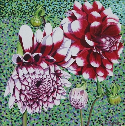 Picture of Susan Entwistle Karnet z kopert Dalia ogrodowa