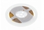 Attēls no Tama LED GTV Tama LED COB 12V, 320LED/m, 8mm, 8W/m, without gel, ciepy biay /5m/