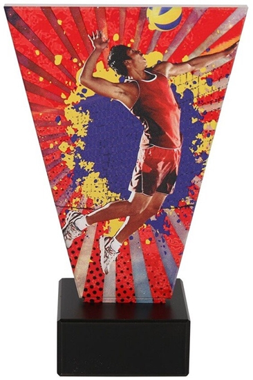 Picture of Tryumf Trofeum szklane pika siatkowa