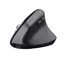 Изображение TRUST BAYO+ ERGONOMIC WIRELESS MOUSE Black (25146)