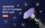 Изображение UV06 UV Flashlight | ULTRAVIOLET LIGHT | 395NM