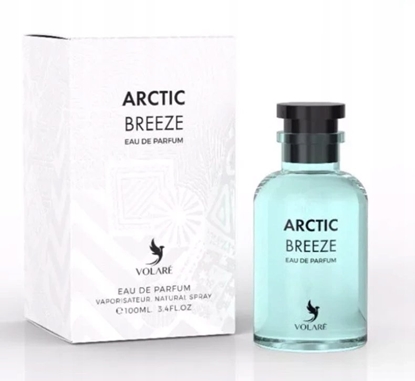 Изображение Volare Arctic Breeze 100ml Woda perfumowana