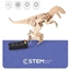 Attēls no Wooden Assembly Kit Robot T-Rex, STEM Educational Toy