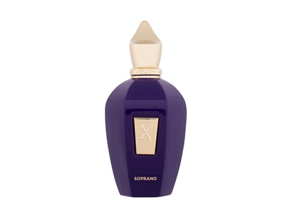 Picture of Xerjoff V Collection EDP 100ml