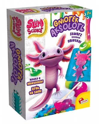 Picture of Zestaw Slumi Science - Gniotek Aksolotl