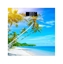 Picture of Body Scale BROCK BS 001 2xAAA batteries (included), 30*30 cm