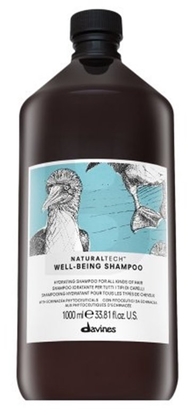 Picture of Davines Natural Tech Well-Being Shampoo 1000 ml