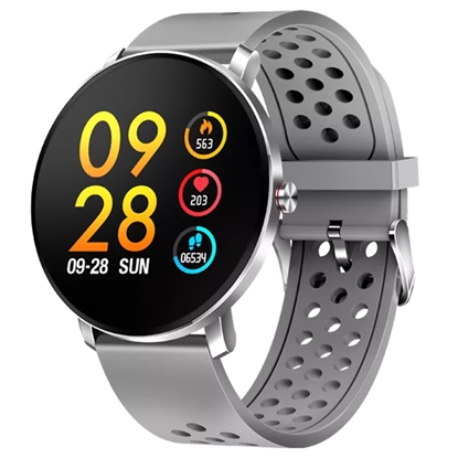 Изображение Denver SW-171 grey