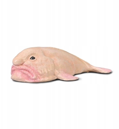 Picture of Figurka Collecta COLLECTA PSYCHOROLUTES MARCIDUS (BLOBFISH)