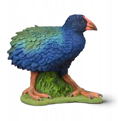 Изображение Figurka Collecta COLLECTA TAKAHE POUDNIOWY