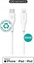 Изображение Kabel USB eStuff INFINITE USB-C to Lightning