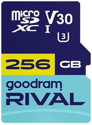 Изображение Karta pamięci microSD 256GB Rival UHS-I V30 U3 C10 100/70MBs