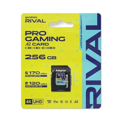 Изображение Karta pamięci microSD 256GB Rival UHS-I V30 U3 C10 A2 170/120MBs