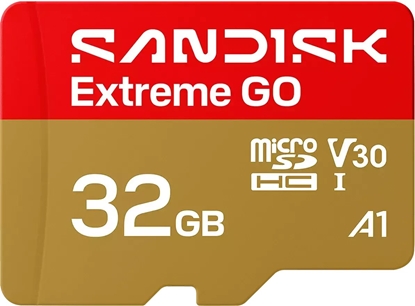 Изображение Karta SanDisk Extreme GO MicroSDHC 32 GB Class 10 UHS-I/U1 A1 V30 (SDSQXGN-032G-GN6MN)