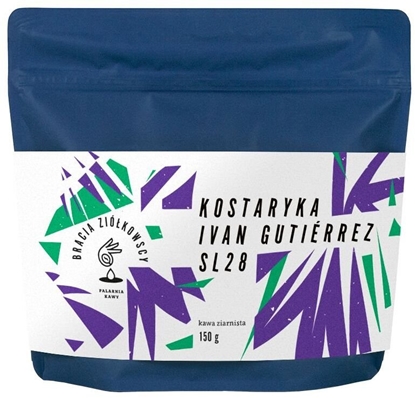 Picture of Kawa ziarnista Bracia Ziókowscy Kostaryka Ivan Gutiérrez SL28 150 g
