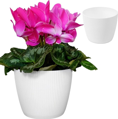 Изображение Lamela Donica MAGNOLIA 220 jumper - biay LA754-05 LAMELA