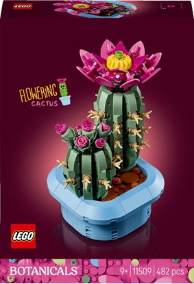 Picture of LEGO BOTANICALS 11509 Flowering Cactus (5702018031865)