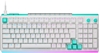 Picture of LOGITECH 920-014003