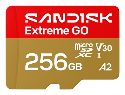 Изображение MEMORY MICRO SDXC 256GB UHS-I/SDSQXGN-256G-GN6MN SANDISK