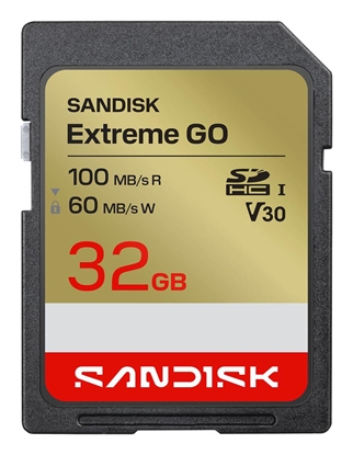 Изображение MEMORY SDHC 32GB UHS-I/SDSDXGN-032G-GNCIN SANDISK