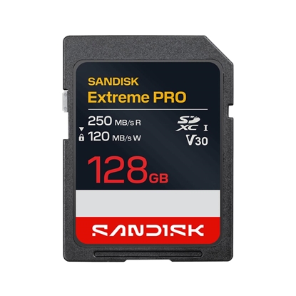 Изображение MEMORY SDXC 128GB UHS-1/SDSDXXJ-128G-GSCIN SANDISK