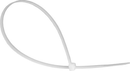 Picture of Organizer Alcasa Alcasa KAB-25T48 opaska kablowa Zwalniana opaska kablowa Nylon Przezroczysty 100 szt.