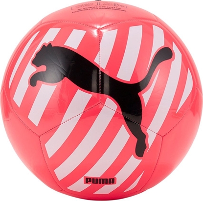 Picture of Puma Pika Puma  Puma Cat Ball 083994-05