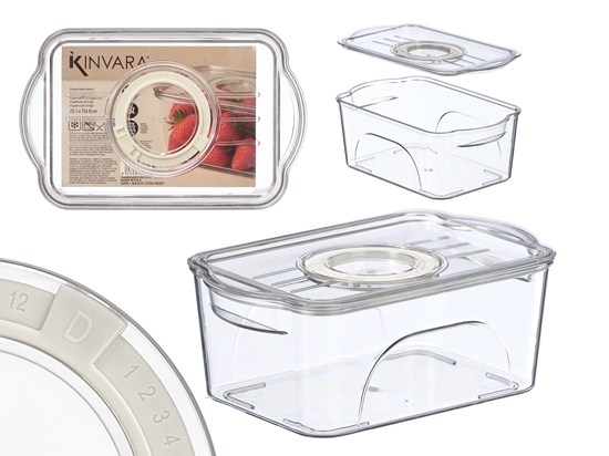 Изображение Small refrigerator organizer with lid, white, 8.5×21×13.2 cm, 12508, Kinvara