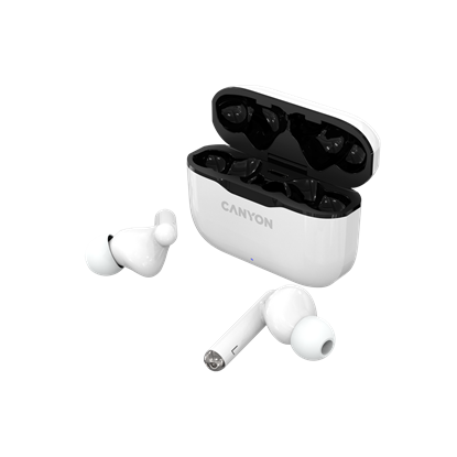 Изображение Suchawki Canyon TWS-3 (AB5376A2)