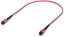Attēls no Ubiquiti Indoor OM4 multi-mode fiber  patch cable with MPO-12 Type