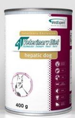 Attēls no VET EXPERT 4T Veterinary Diet Dog Hepatic 400g