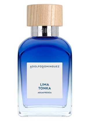 Picture of Adolfo Dominguez Agua Fresca Lima Tonka EDT M 230 ml