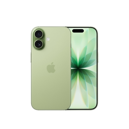 Picture of Apple iPhone 17 - 5G smartphone - dual-SIM / Internal Memory 256 GB - OLED display - 6.3" - 2622 x 1206 pixels (120 Hz) - 2x rear cameras 48 MP, 48 MP - front camera 18 Megapixel - sage