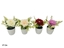 Picture of Artificial Camellia Pot 17 cm, 12x20x17 cm, LITO