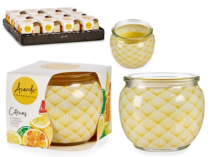 Picture of Candle in glass container, citrus, 6.3×7.5×7.5 cm, 13576, Acorde