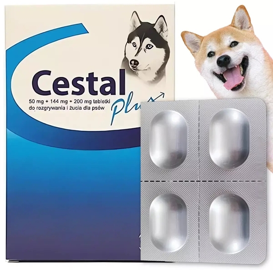 Picture of Ceva CESTAL PLUS DLA PSA BLISTER 8tabl NA      ODROBACZANIE